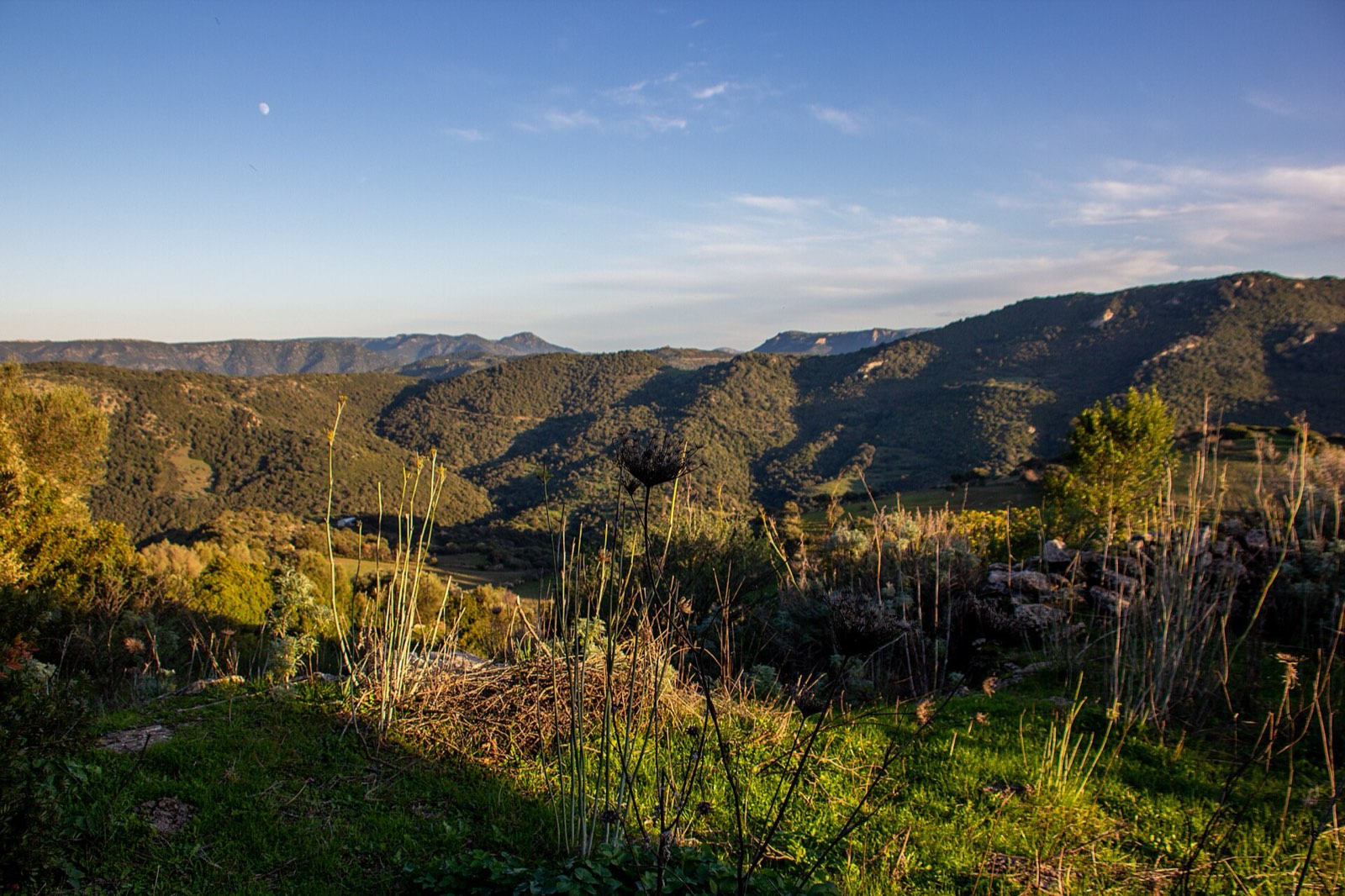 Colline boscose del Gerrei al tramonto, con la luna nel cielo